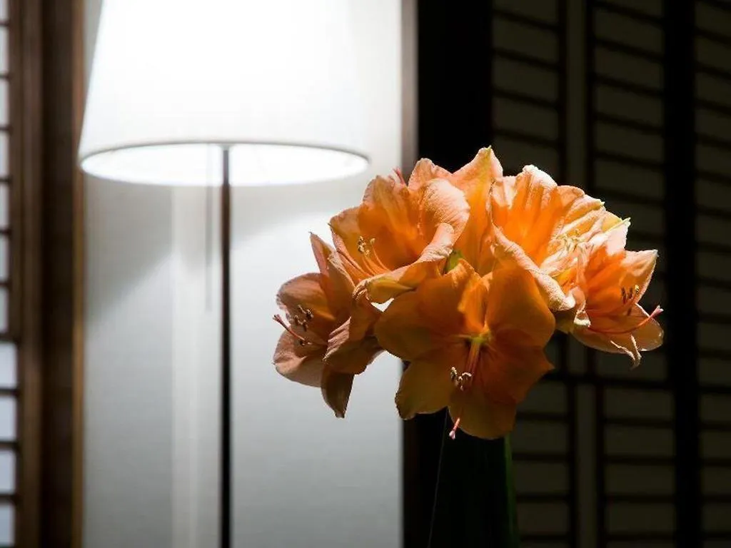 Sapporo Kitahiroshima Classe Hotel